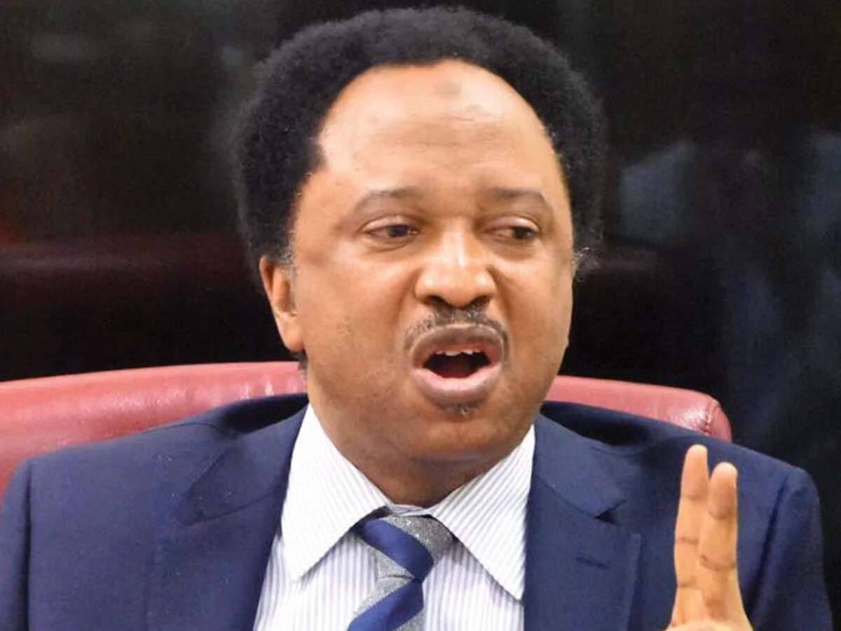 Shehu Sani urges Nigerian govt to make N70,000 NYSC allowance reality