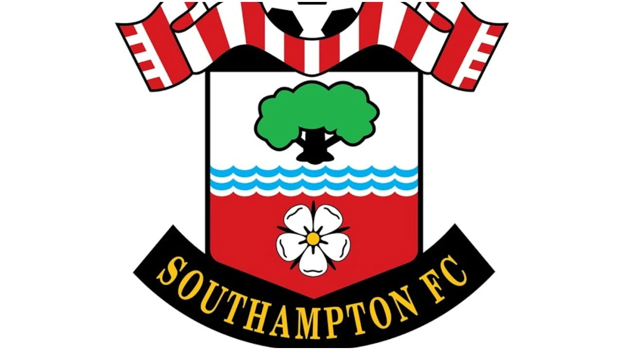 Southampton to play Hull City in Championship play-off final