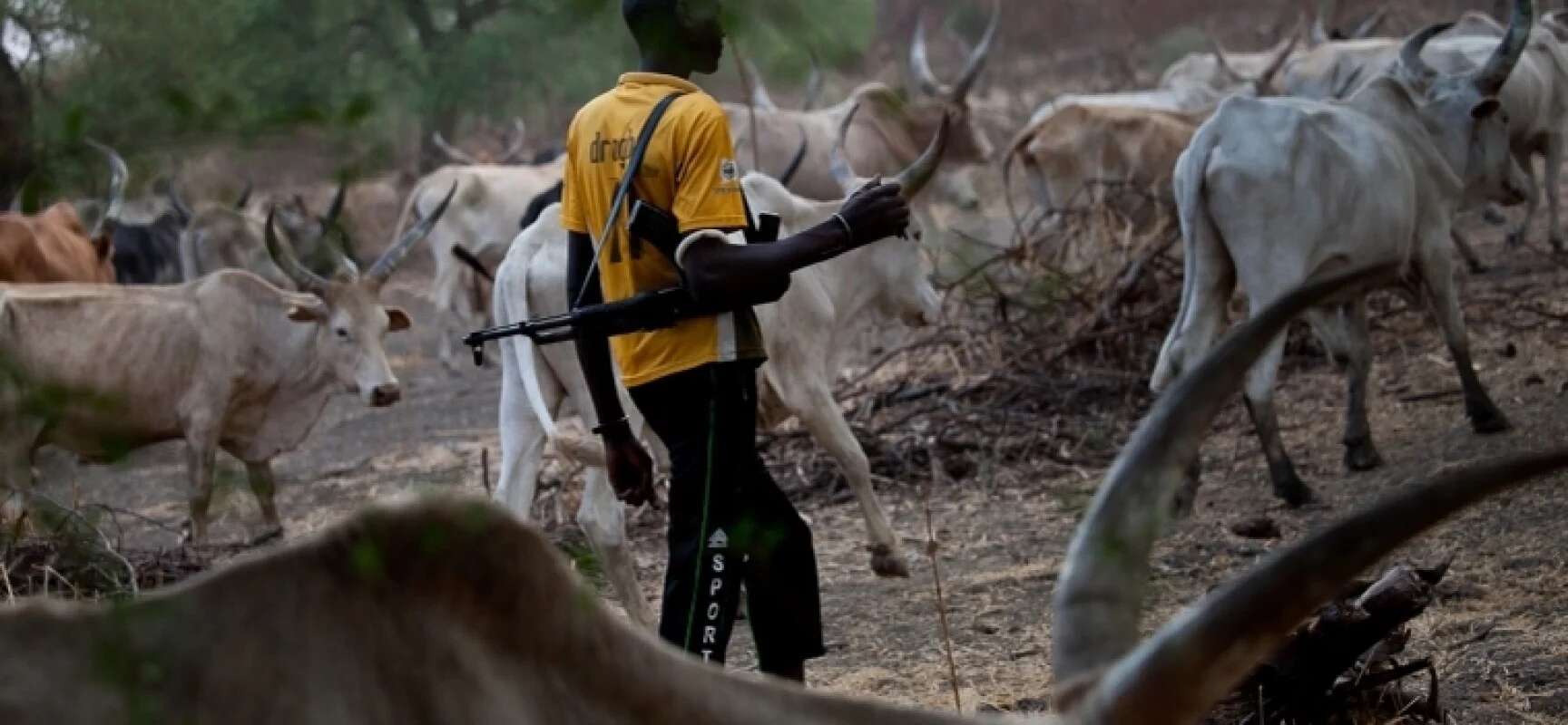 Suspected herders invade Sen Suswam’s village in Benue, many reportedly dead, others injured