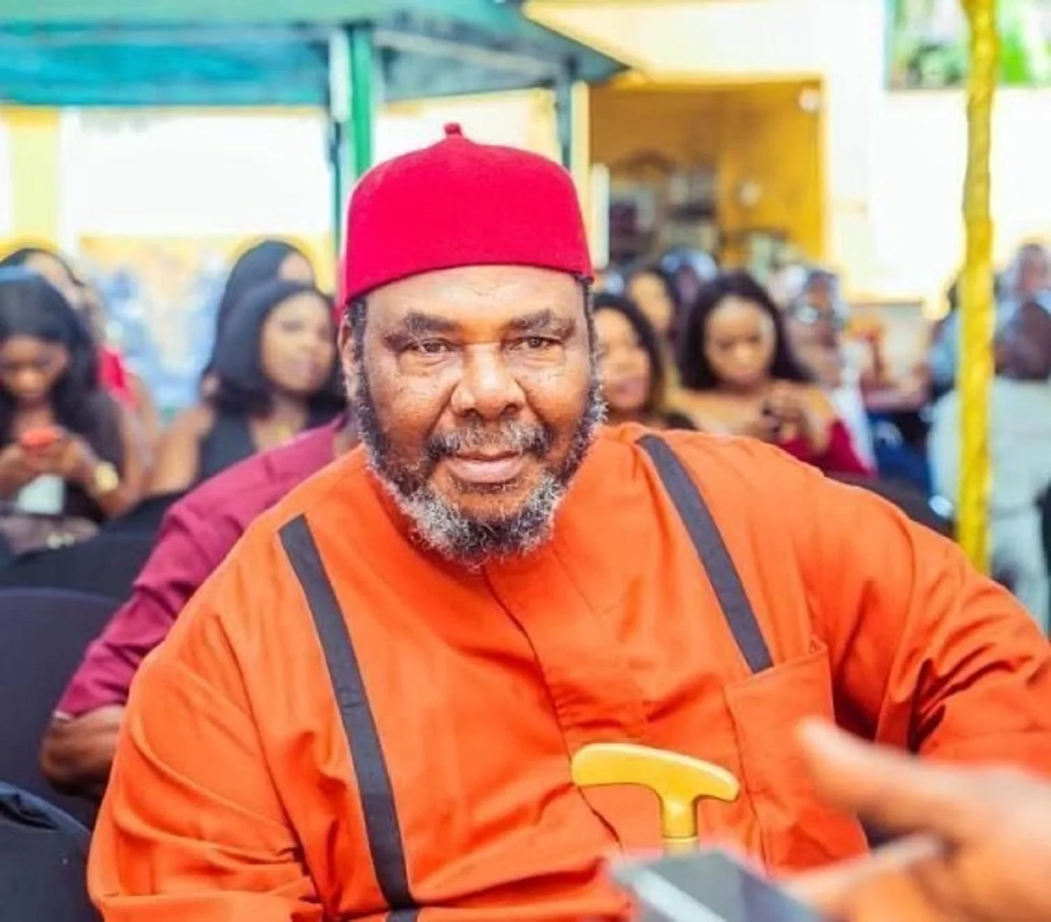 Igbo men, not good politicians – Pete Edochie claims