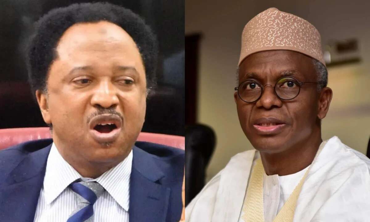 Kaduna: Shehu Sani knocks El-Rufai, says powerful forces behind terrorism, kidnapping