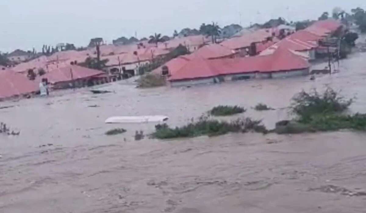 Death toll rises to 22 in Jigawa flood incident