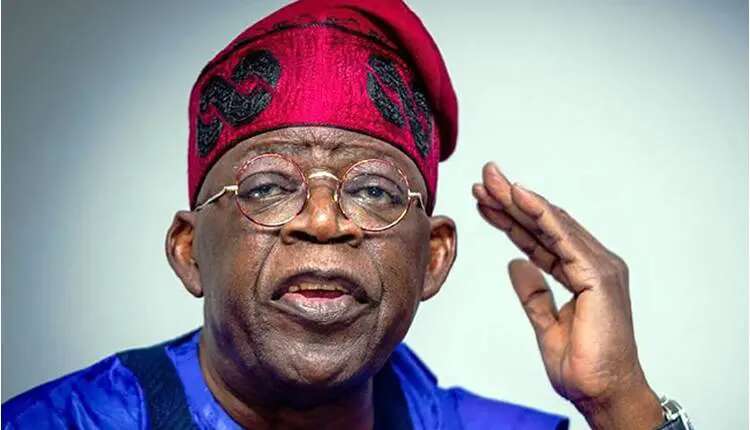 Tinubu orders reduction in number of delegates to UNGA