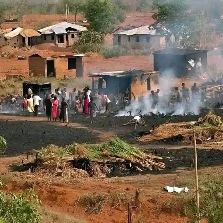 Angry Benue youths pull down APC flags, accuse APC govt of campaigning amid state tragedy [VIDEO] 