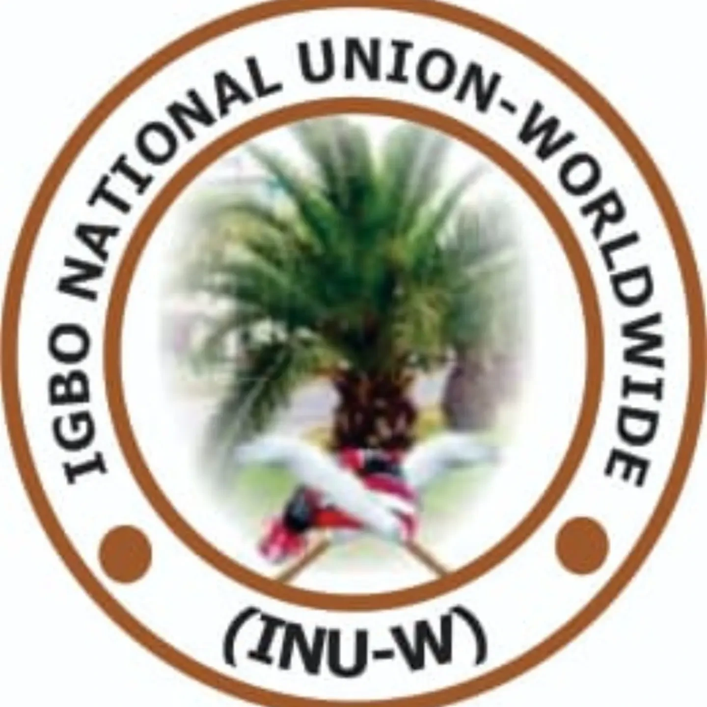 Group blames Igbo political marginalization on racism