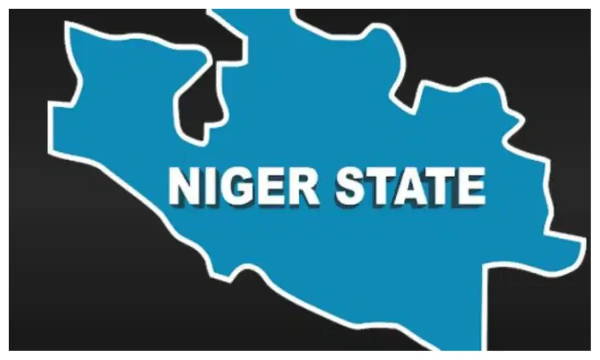 Niger LG Election: 805 candidates, 10 political parties participating – NSIEC