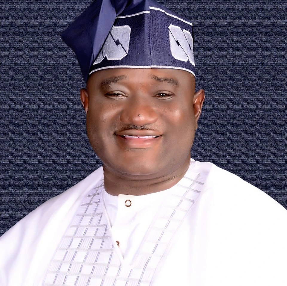 Benue: Agatu LG Chairman bans logging amid rising insecurity