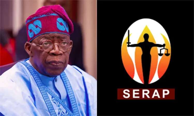 Don’t release allocations to states that failed to conduct credible LG polls – SERAP tells Tinubu