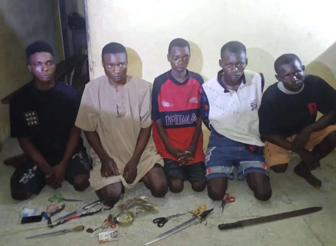 Police nab five for thuggery, robbery in Niger