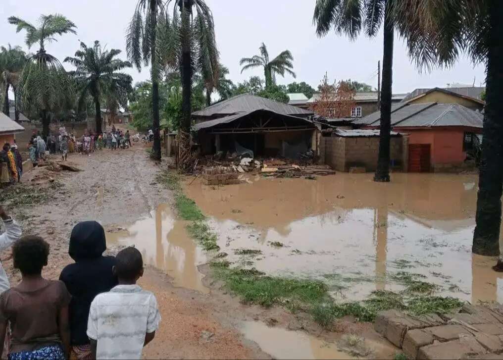 ‘We need food’ — Edo communities affected by flood beg government