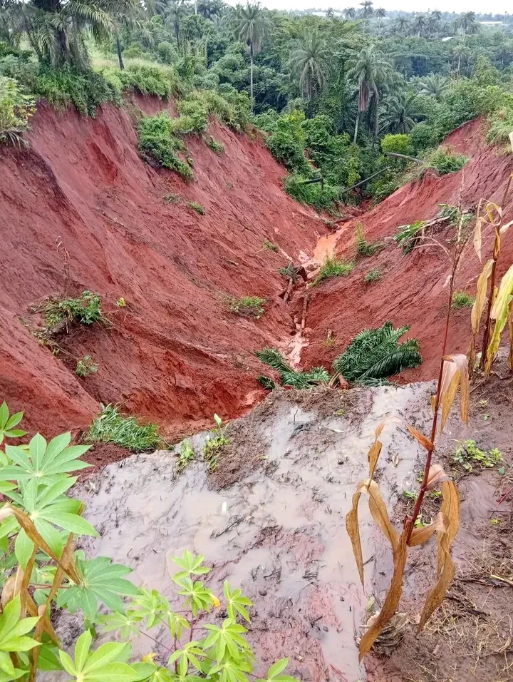 Indigenes beg Tinubu, Otti for help as erosion ravages Abia community