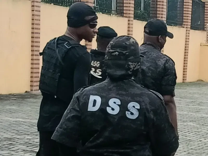 DSS files terrorism charges against nine over Benue, Plateau killings
