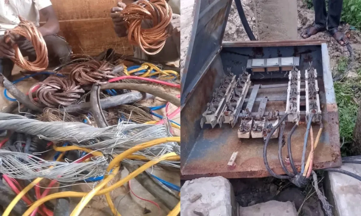 Two men land in police net for vandalizing electricity transformer, cables in Yobe