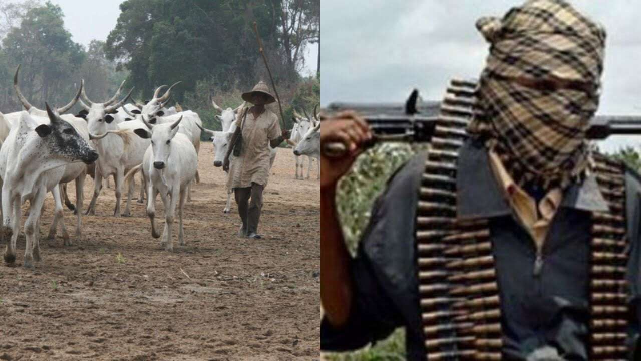 Ebonyi massacre: ‘It’s time for govt decisive action against herdsmen banditry’ – RULAAC