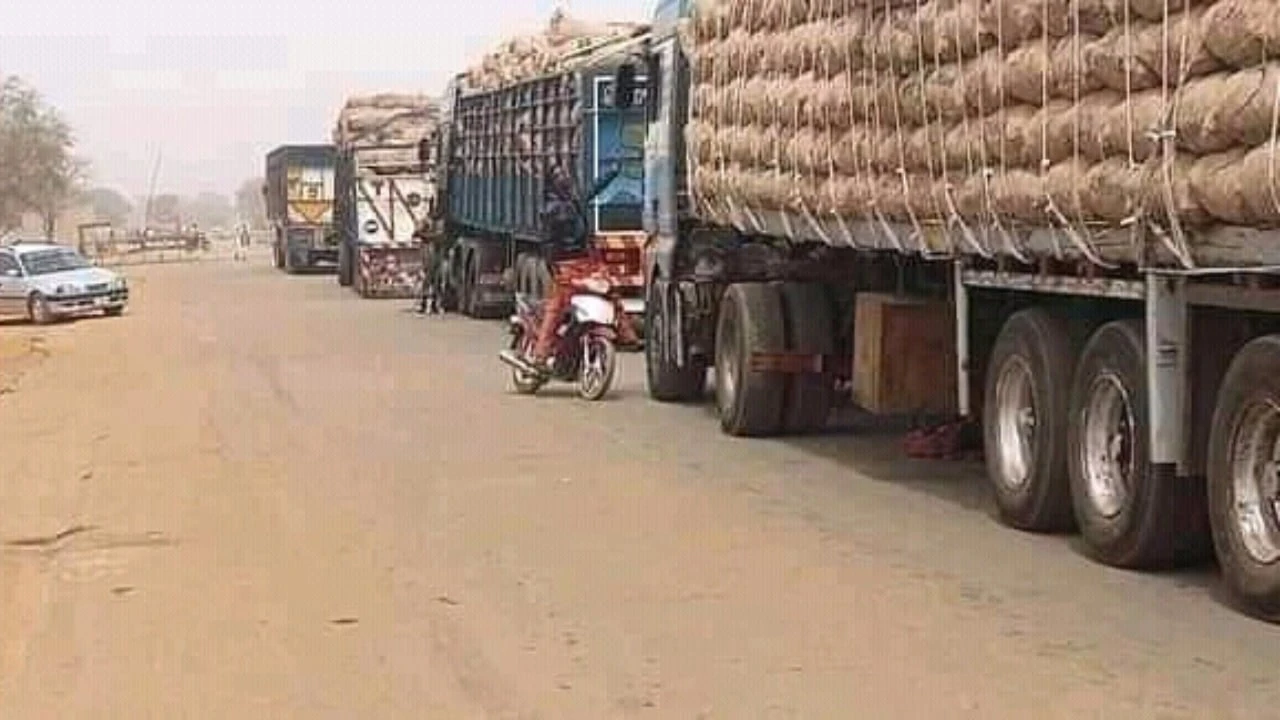 Nigerian Customs intercept 15 trucks of food items in Sokoto