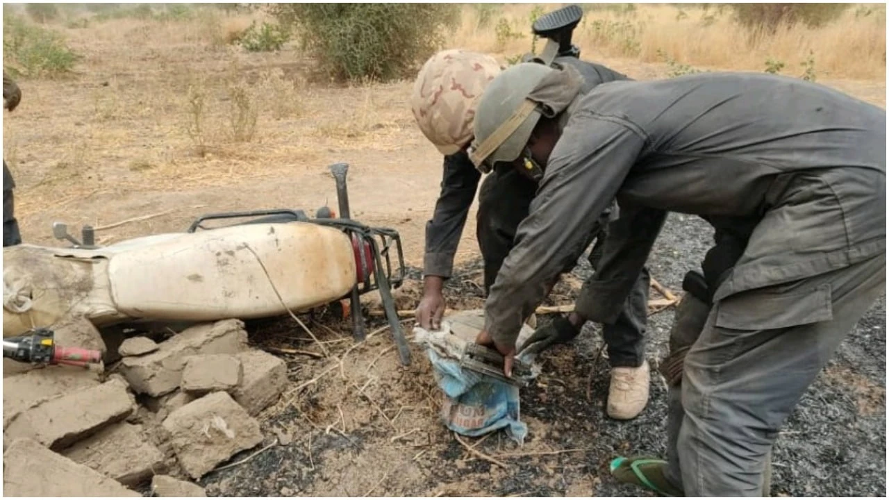Troops kill 2 bandits, recover 22 rustled cows in Kaduna