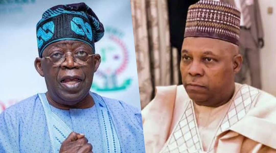 Shettima symbolises enthusiasm, vigour, affability in my govt – Tinubu