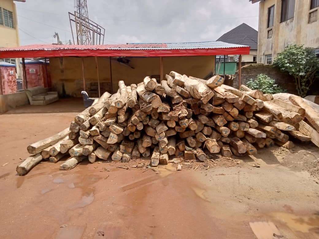 Deforestation: Illegal dealers invade Abia forest reserve, cut down trees