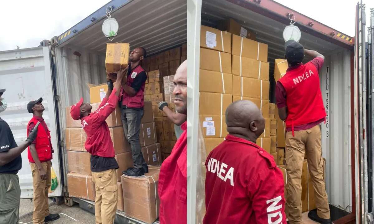 NDLEA intercepts N9.8billion worth of fresh codeine shipments from India