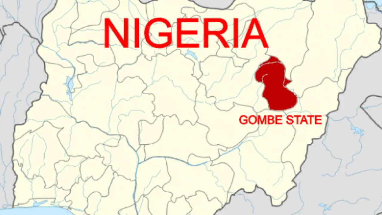 31-year-old man arrested for allegedly killing aunt in Gombe