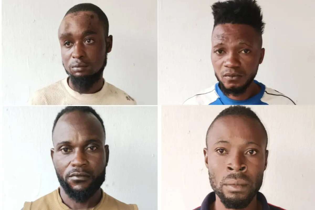 Army arrests four ambazonia rebels in Taraba