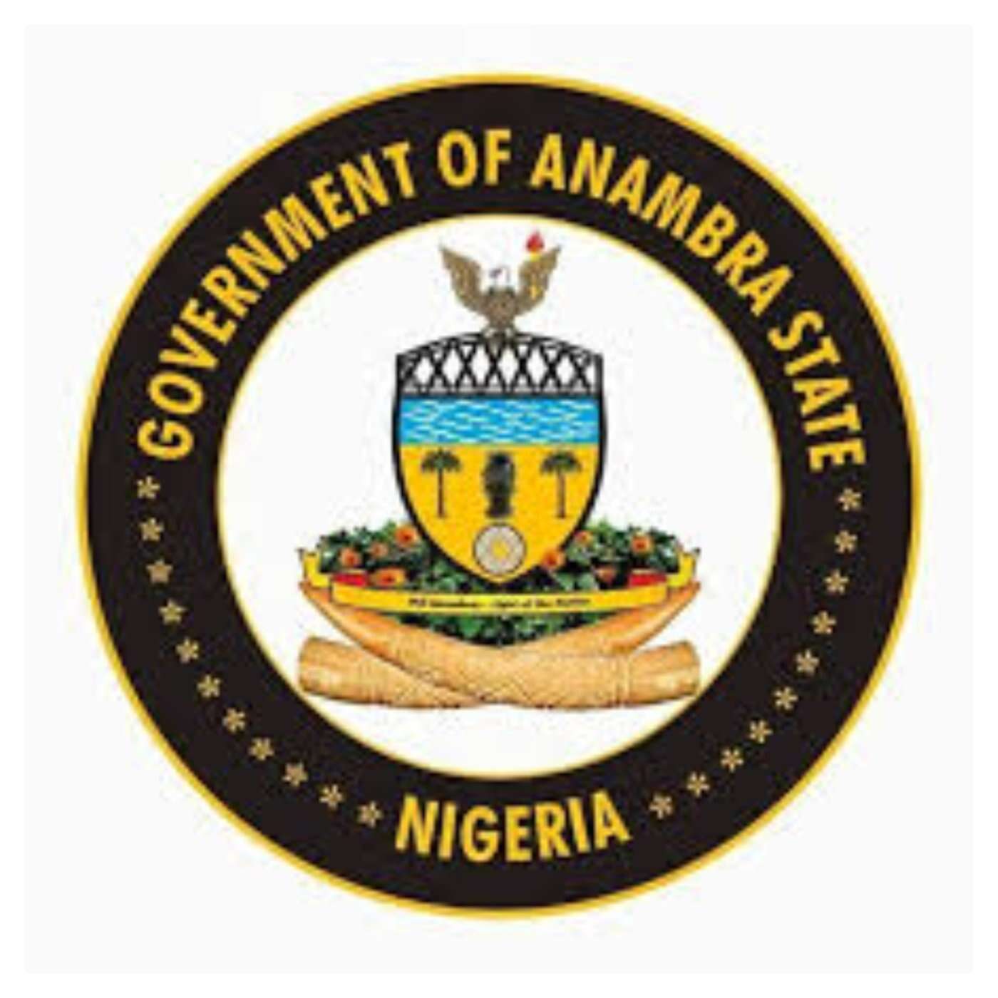 New Homeland Security Law not targeted at traditionalists – Anambra govt