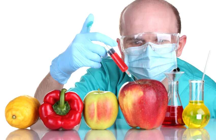 GMOs distort natural cycle of human cells, capable of wiping out species – Molecular Biologist