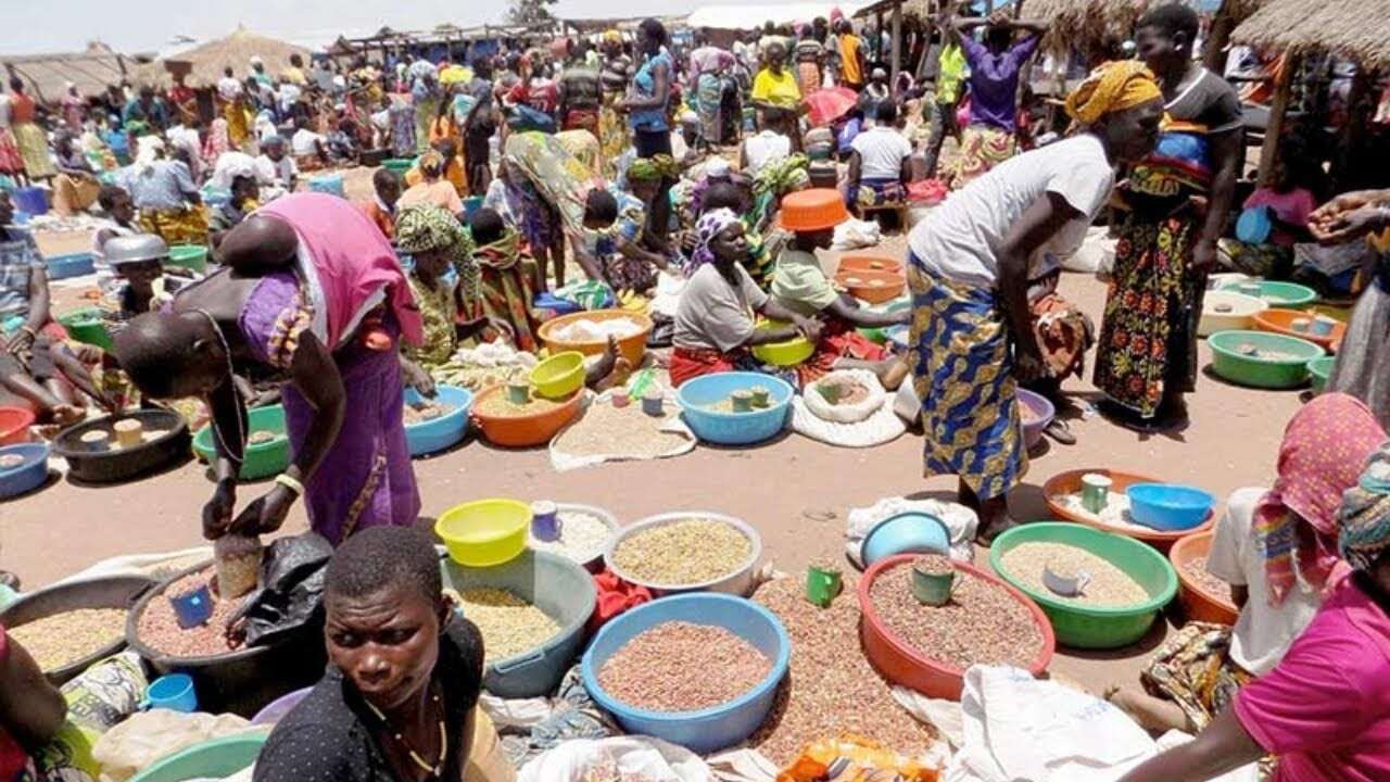 Kano government vows to prosecutes traders adulterating grains at Dawanau market