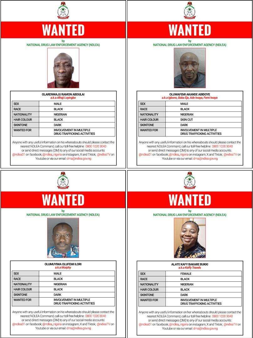 Cocaine shipments: NDLEA declares 4 ‘Barryshine’ drug cartel members wanted