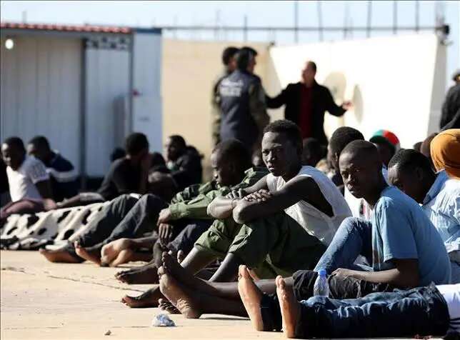 180 stranded Nigerian migrants repatriated from Niger Republic