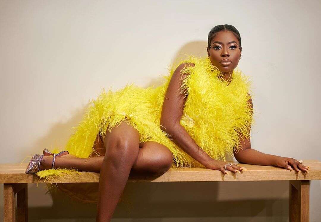 Sophia Momodu files 102-paragraph counter affidavit to oppose Davido over joint custody of their daughter, Imade