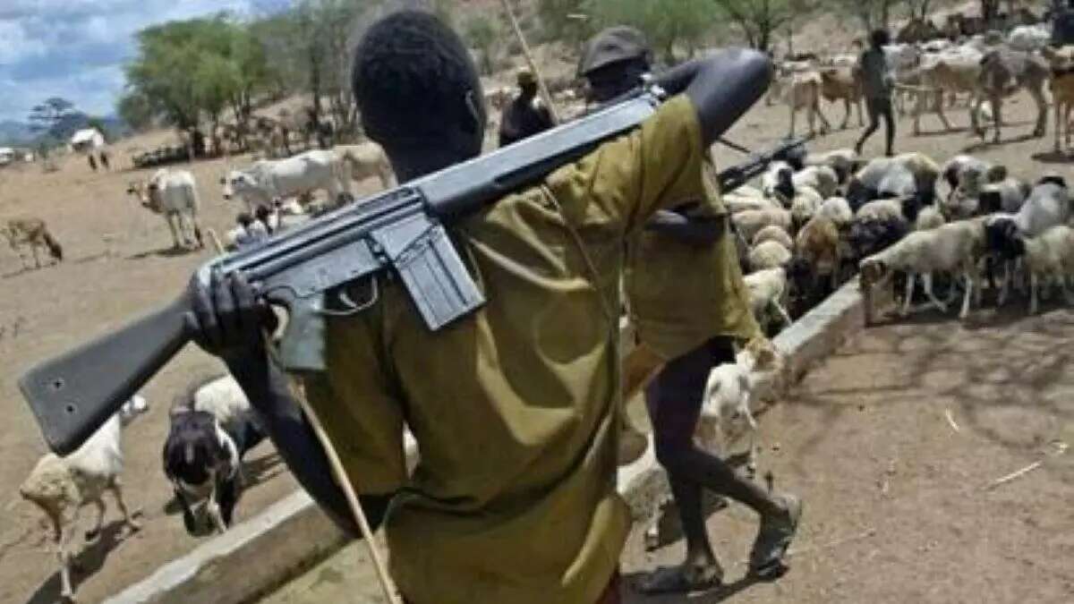 Suspected herdsmen kill three farmers in Benue community