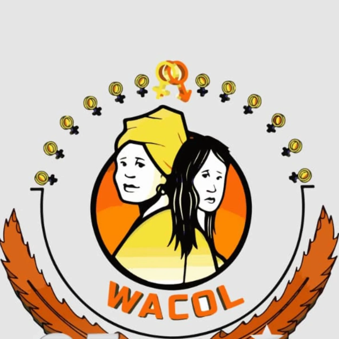 WACOL intensifies campaign against domestic violence in Abia