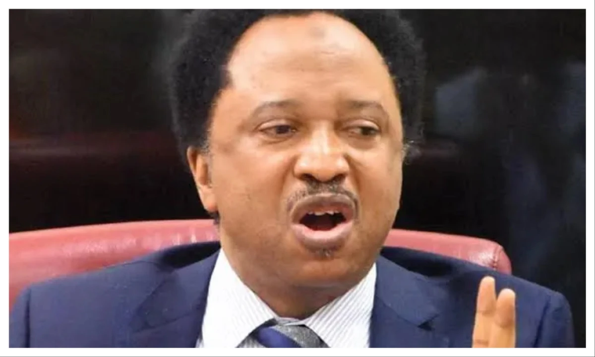 ‘More needs to be done’- Shehu Sani hails US, Nigeria for eliminating Al-Minuki