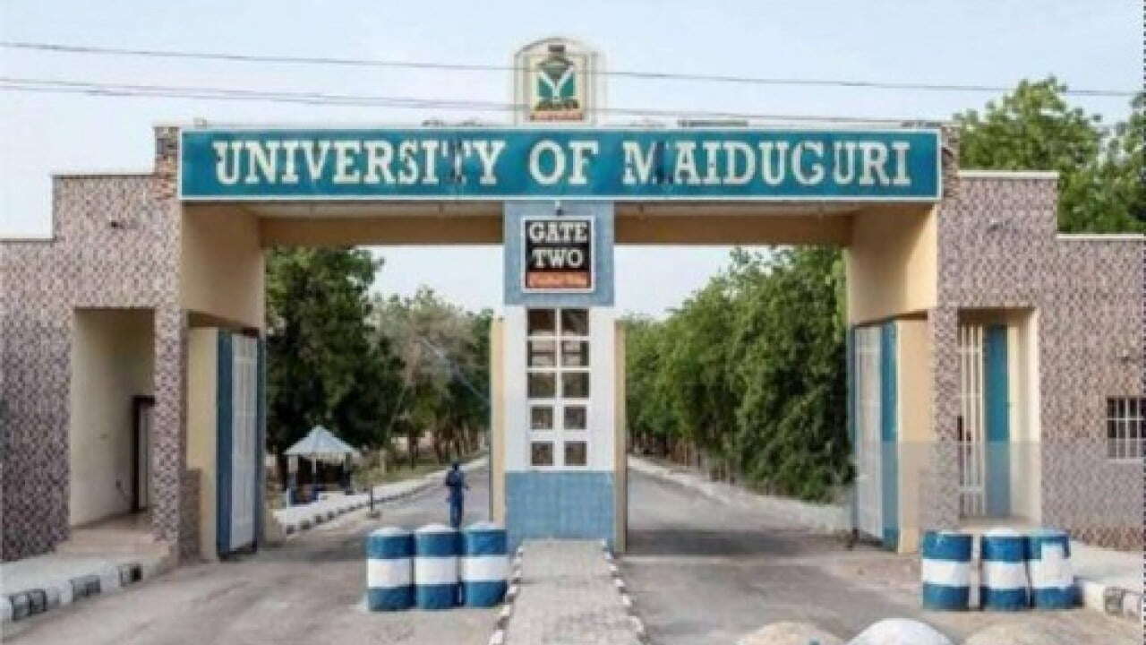 UNIMAID professor dies in domestic accident