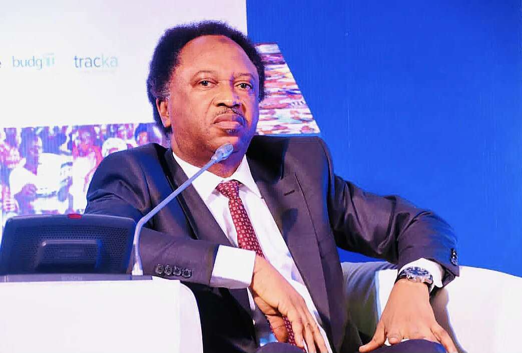 Wike vs Fubara: Tinubu’s intervention failed, godfather, son must end crisis – Shehu Sani