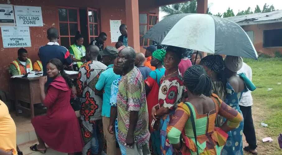 Edo Decides 2024: Residents defy heavy downpour to vote Ighodalo, Okpebholo, Akpata, others