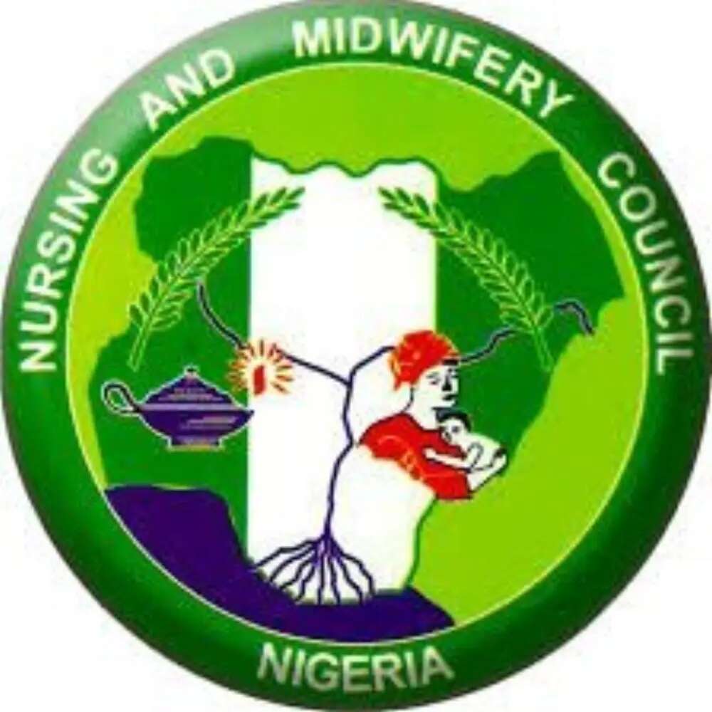 NMCN finally reopens portal for nurses, midwives’ verification