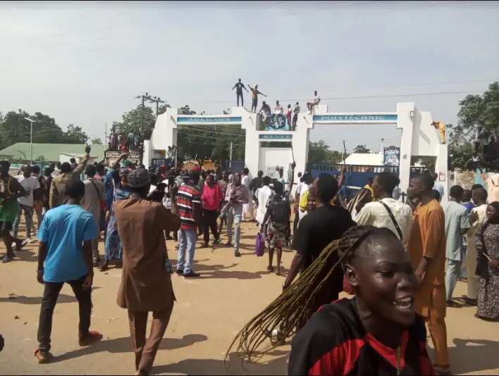 Adamawa poly students protest over blackout, lack of water