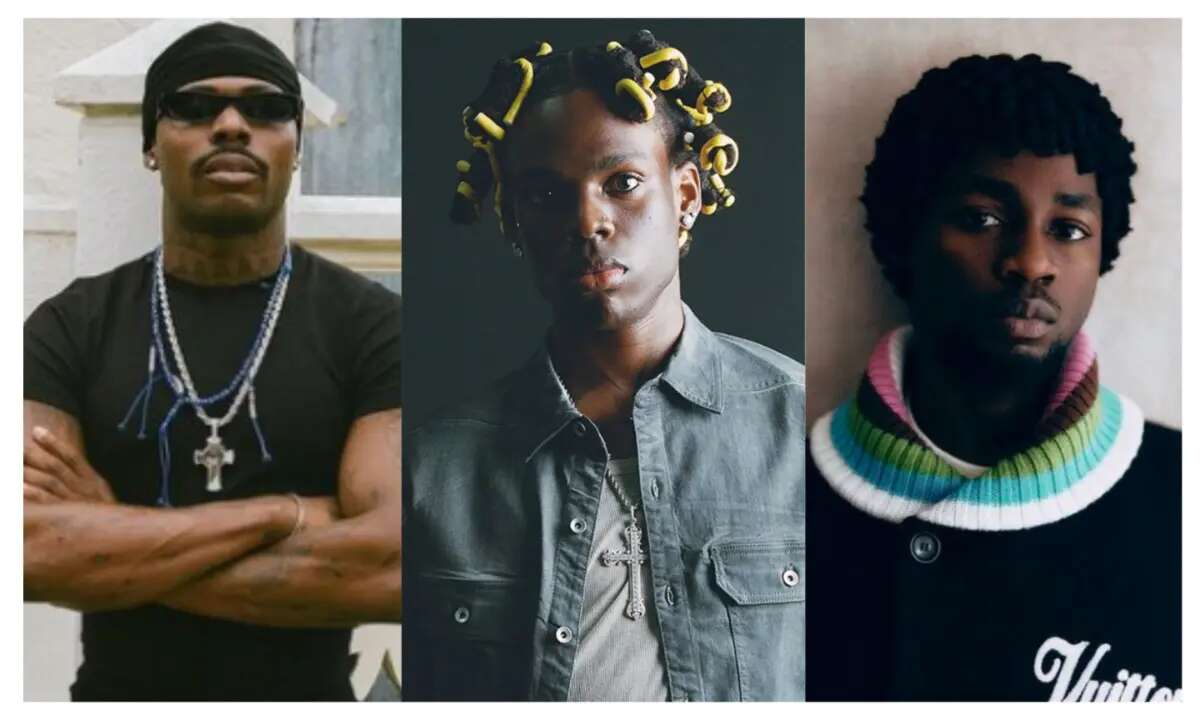 Asake, Rema, Omah Lay others to headline Promise Land Festival