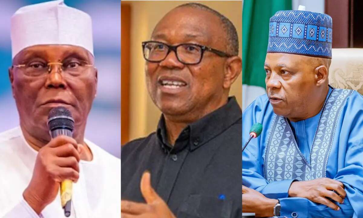 VP Shettima, Atiku, Peter Obi meet in Katsina [VIDEO]