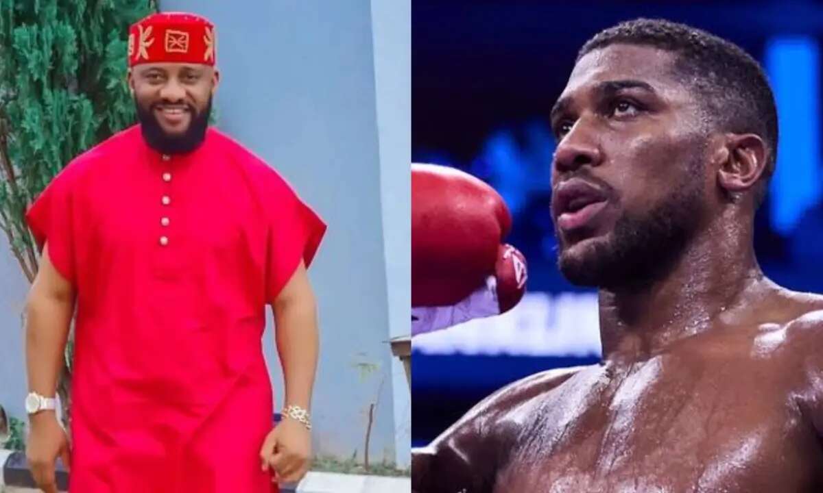 ‘It seems like he is tired of boxing’ – Yul Edochie reacts to Anthony Joshua’s Wembley defeat