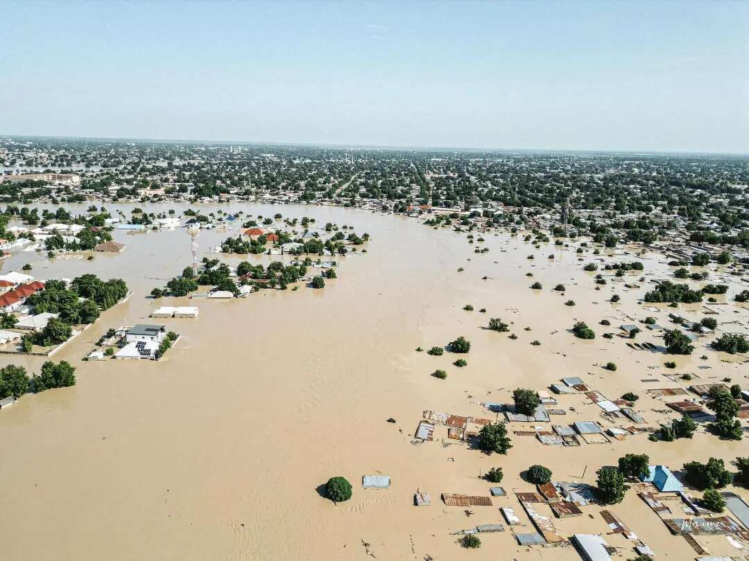 Maiduguri: Flood in Borno, other states national disaster – Buhari