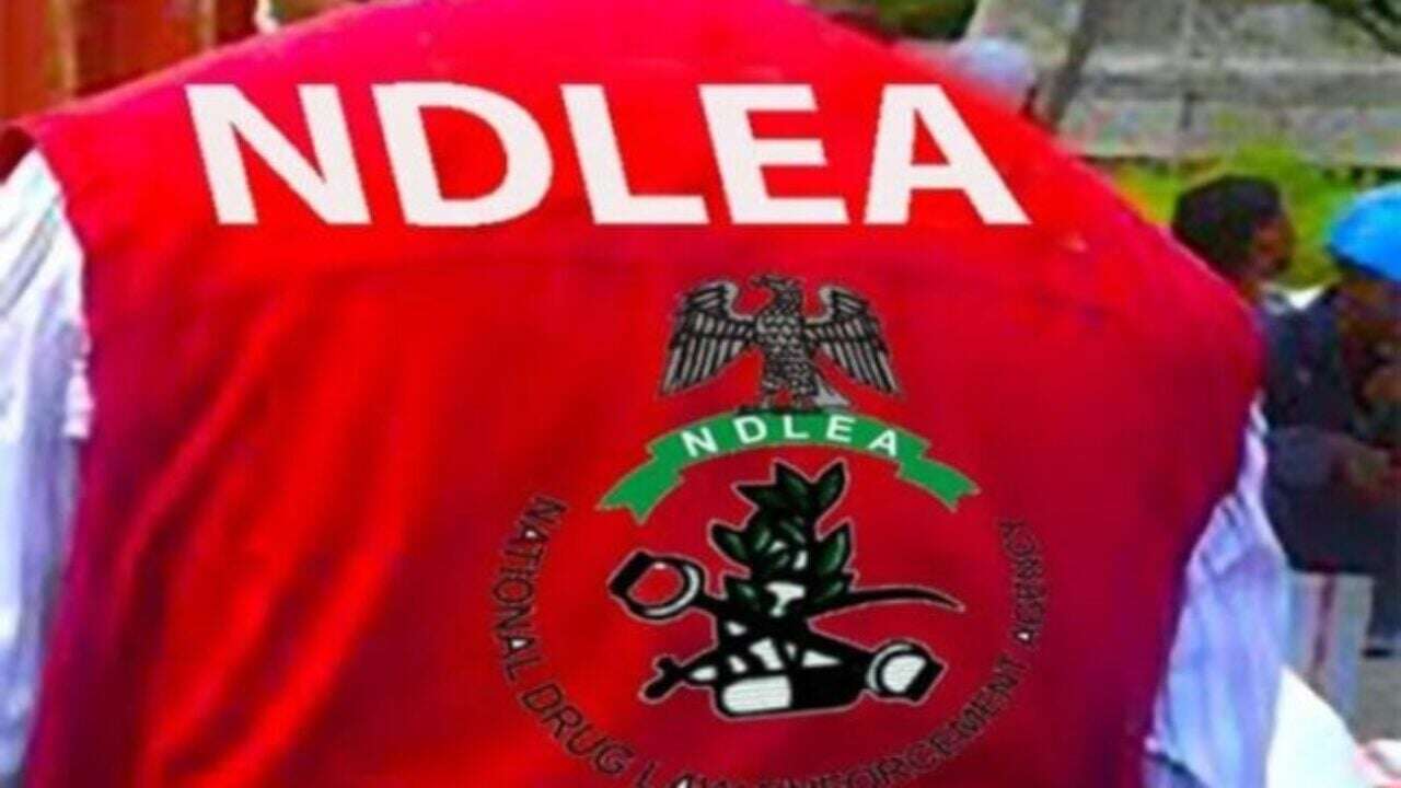 NDLEA raises alarm as Intoxicating sweets for children surface in Kano markets