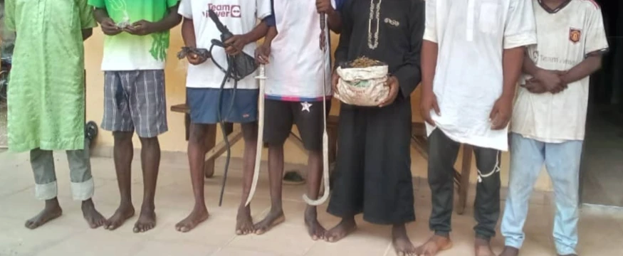 Police nab 10 suspected robbers, thugs in Minna, recover weapons