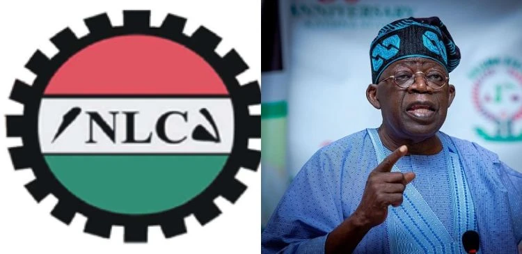 NLC writes Tinubu over industrial crisis at Lower Niger River Basin Develoment Authority