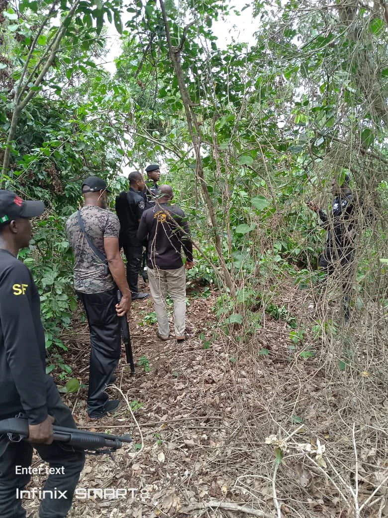 Imo: Police deploy operatives to rescue abducted FUTO student