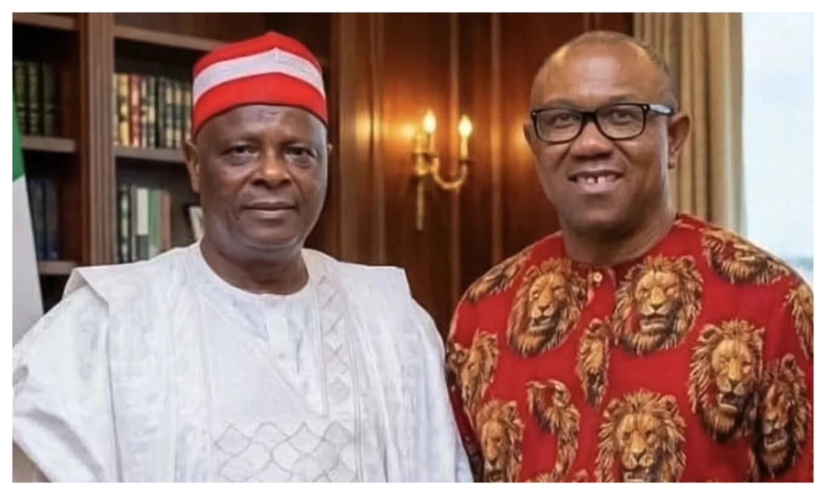 2027: Residents burn Obi-Kwankwaso posters in Kano (VIDEO)