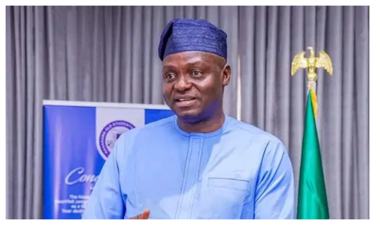 APC primaries: We did not impose a single candidate – Yilwatda