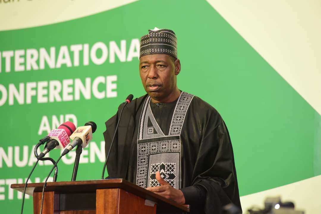 Zulum advocates adoption of Chinese model for choosing leaders in Nigeria